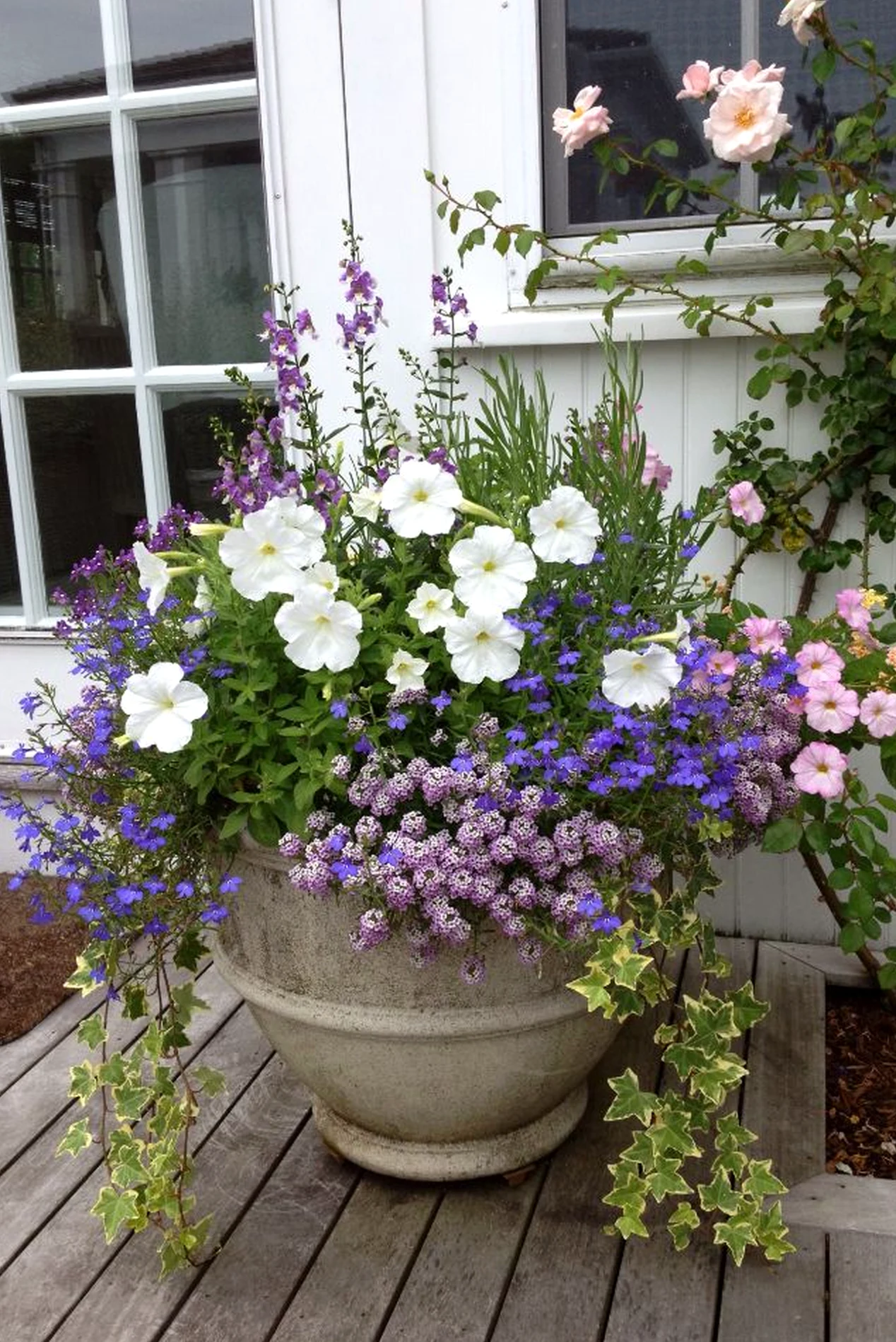 Relaxed ceiling detail supports the garden edge through shape, leaving the space feeling fresh and intentional.
