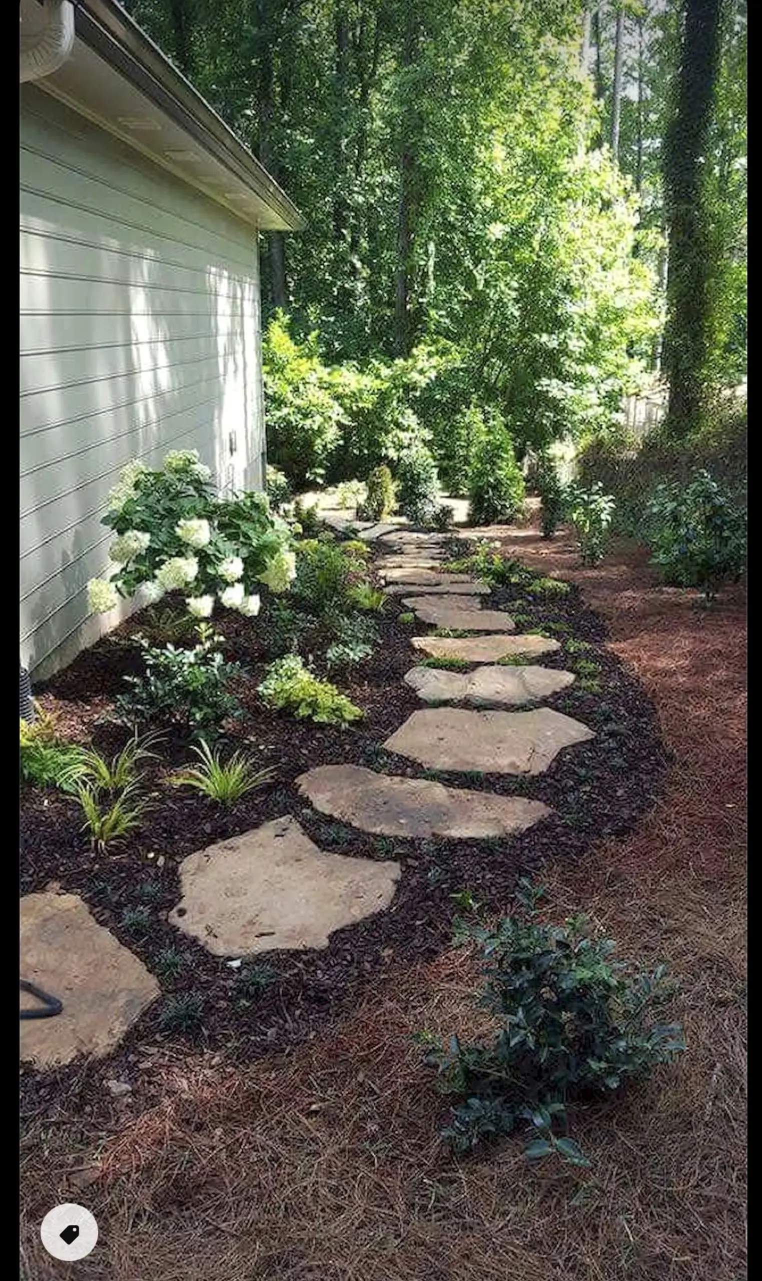 Balanced stone path frames the arrangement with light, making the scene feel personal and relaxed.