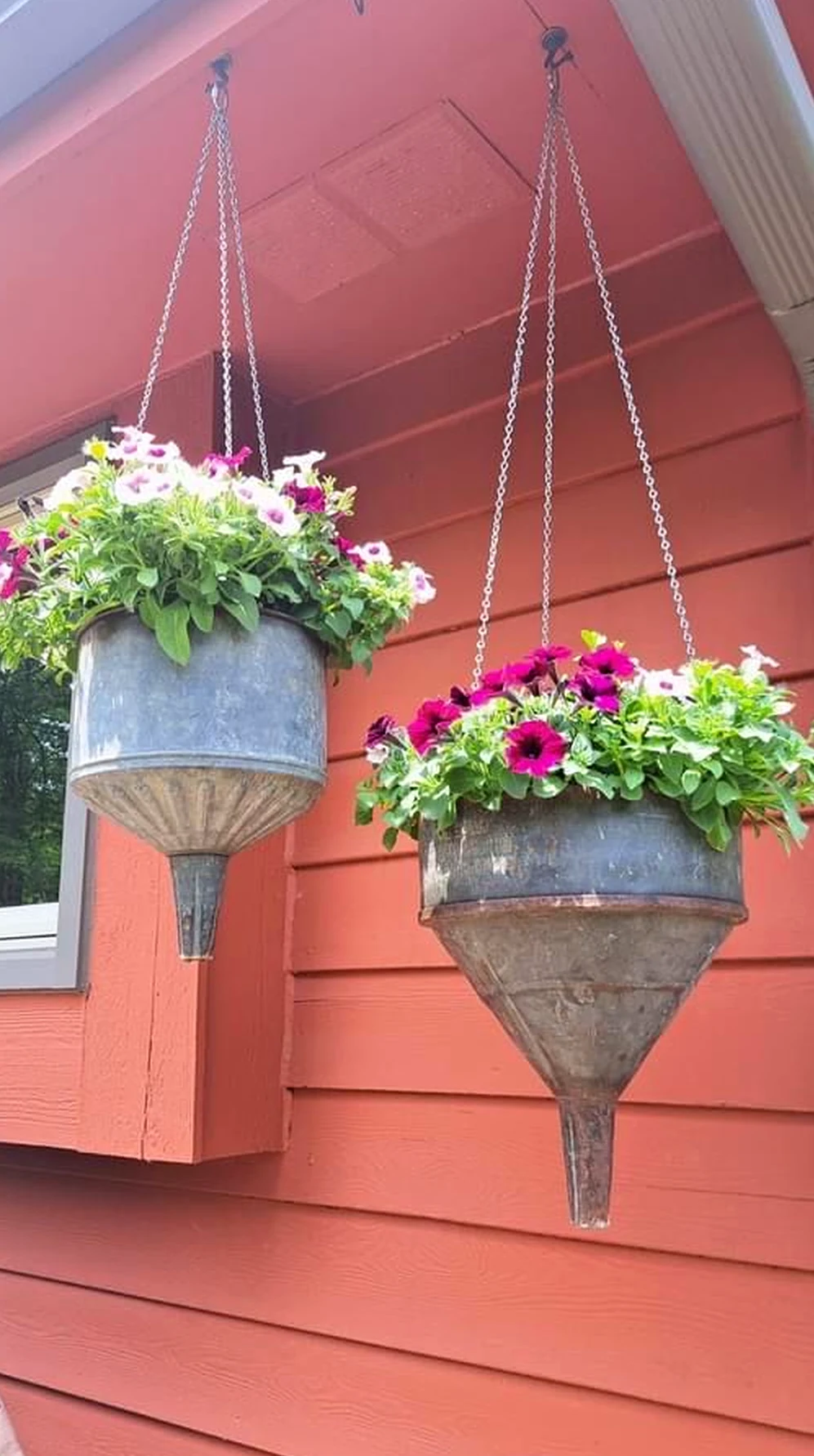 Earthy greenhouse corner adds freshness across the outdoor space, giving the decor a finish that feels visually grounded.
